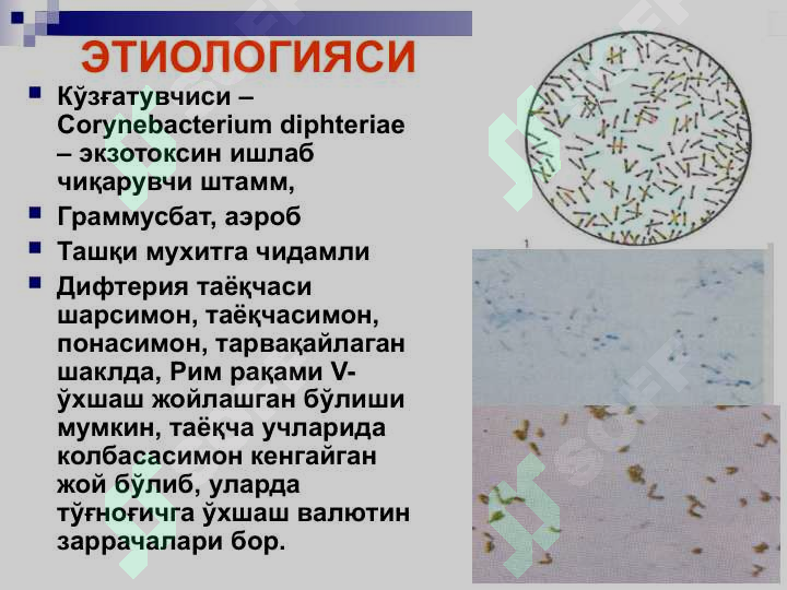 sellerImage