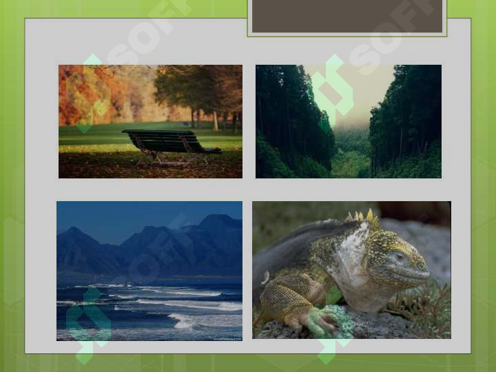 sellerImage