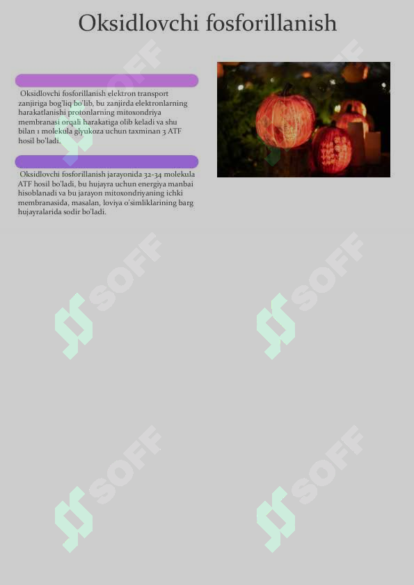 sellerImage