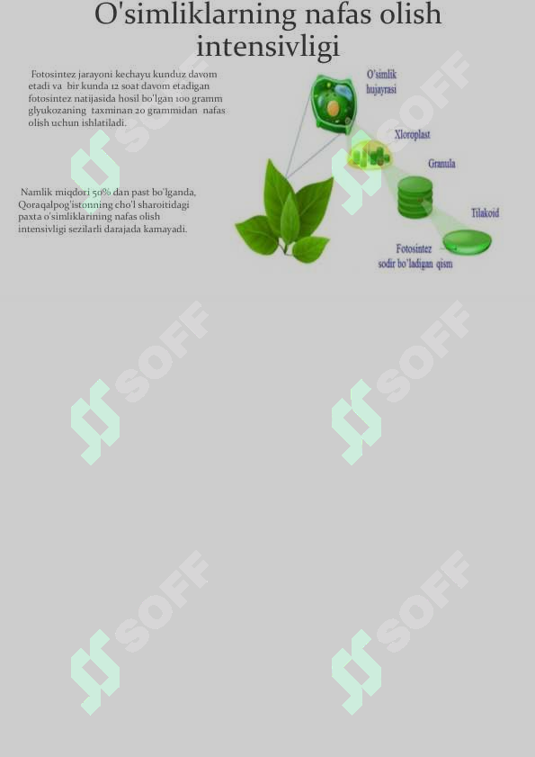 sellerImage