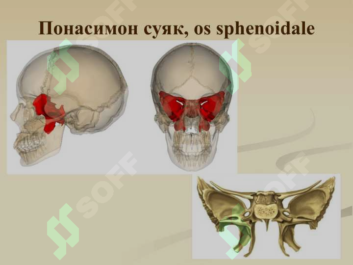 sellerImage