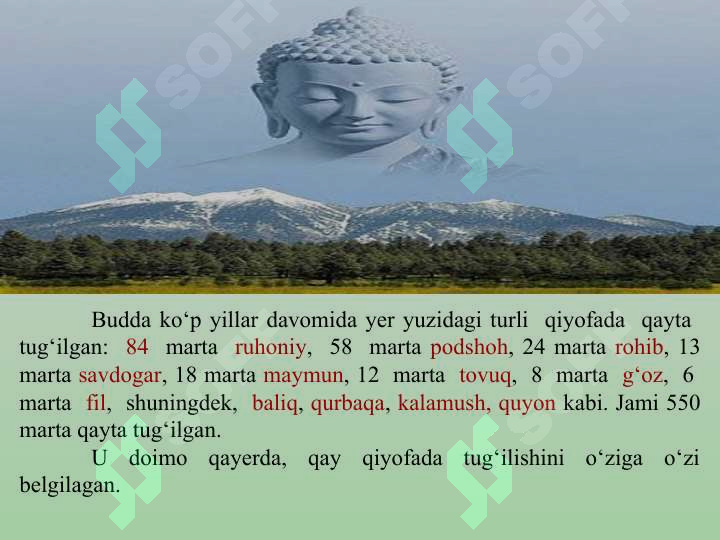 sellerImage