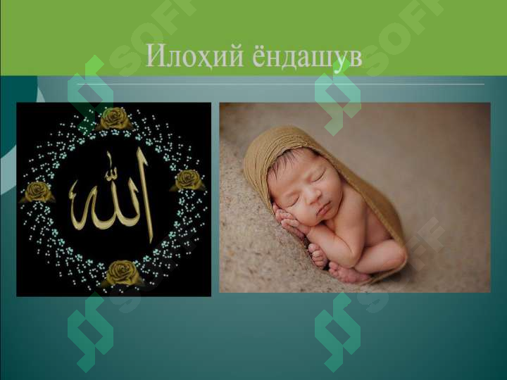 sellerImage