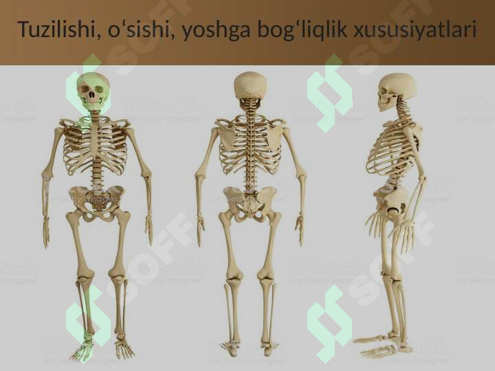 sellerImage