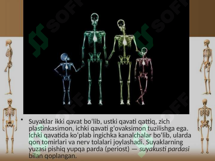 sellerImage