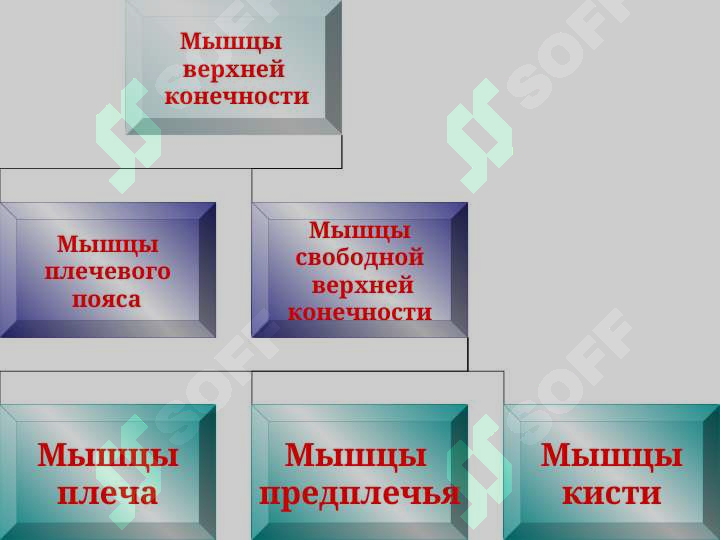 sellerImage
