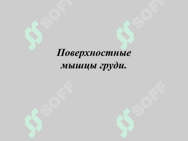 sellerImage