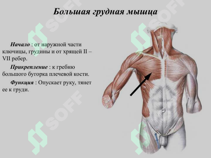 sellerImage