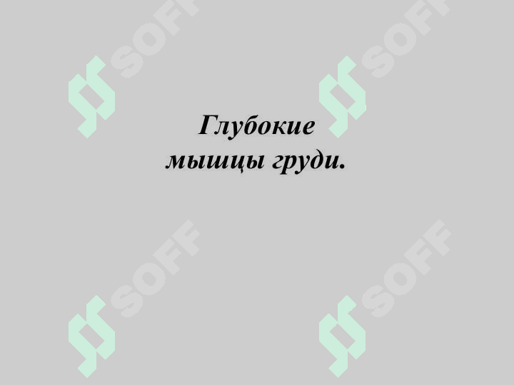 sellerImage