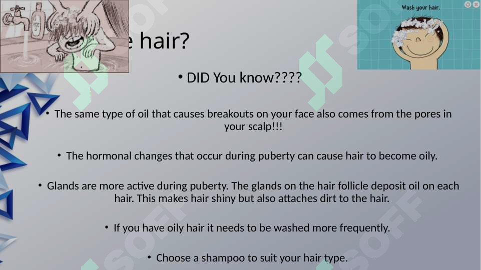 sellerImage