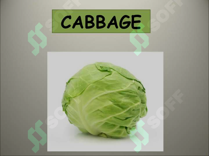 sellerImage