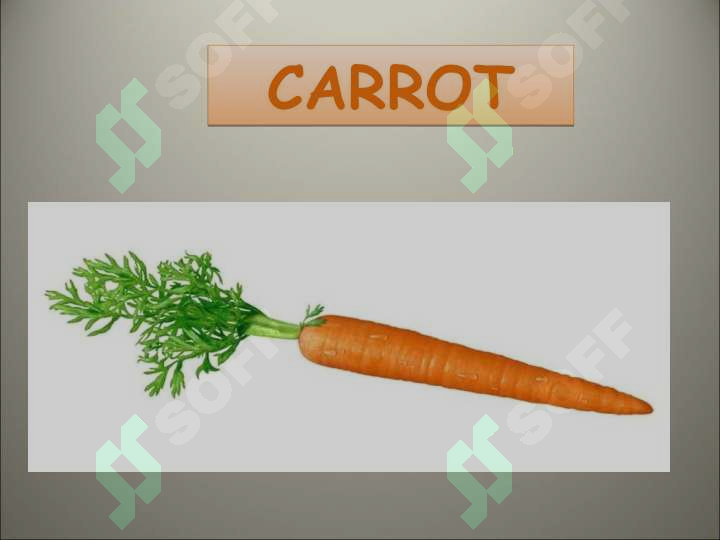 sellerImage