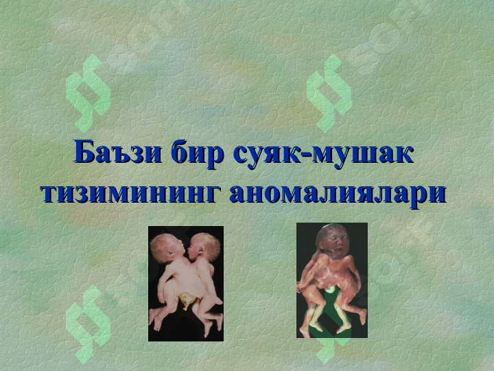 sellerImage