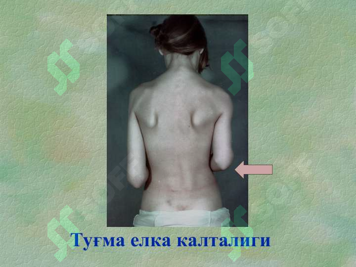 sellerImage