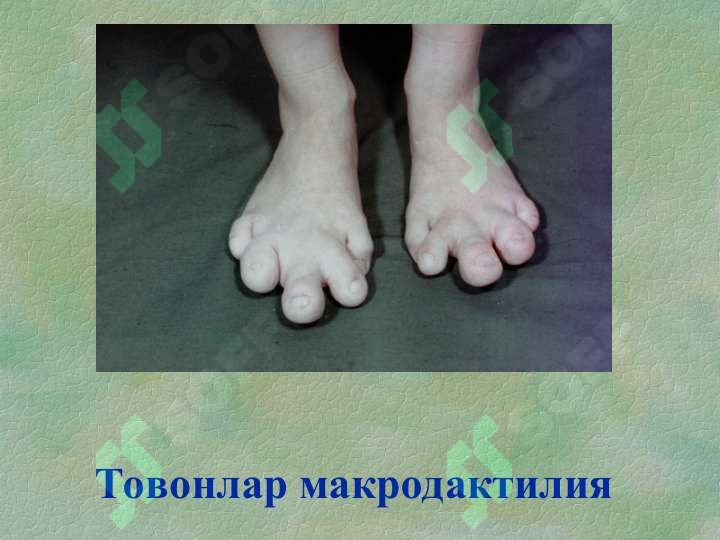 sellerImage