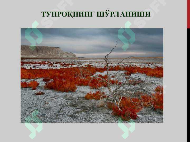 sellerImage