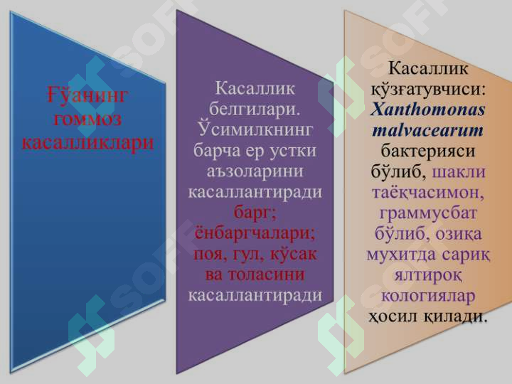 sellerImage