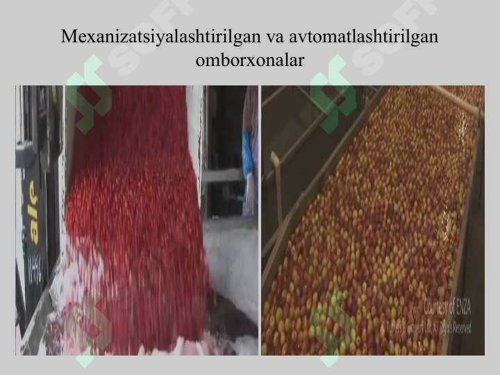 sellerImage