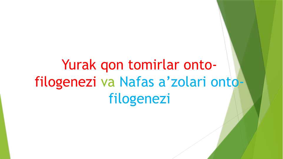 Yurak qon tomirlar onto-filogenezi va Nafas a’zolari onto-filogenezi