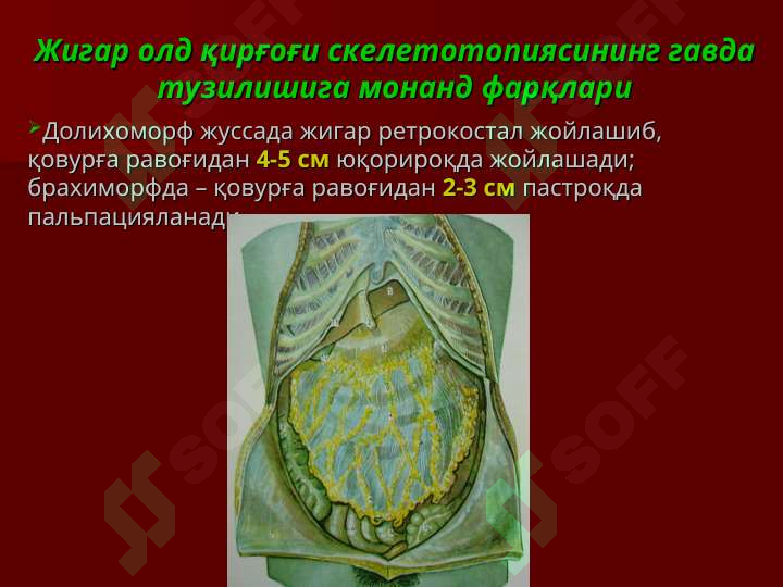 sellerImage