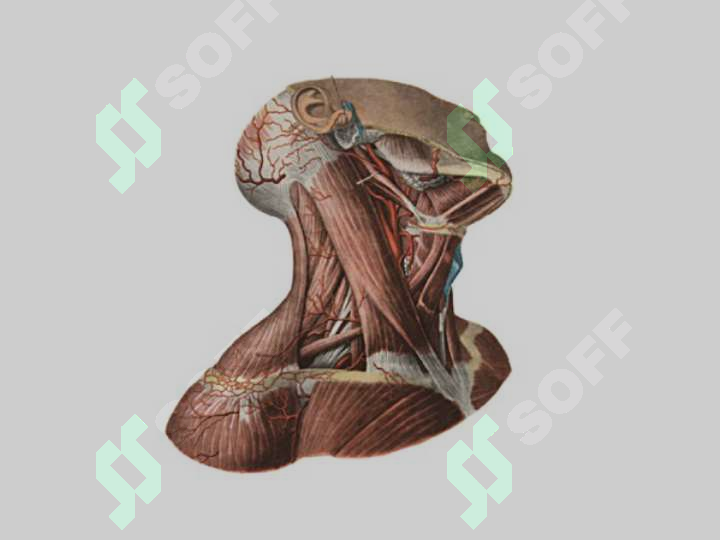 sellerImage