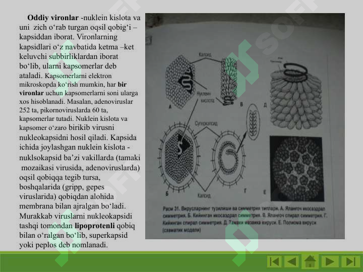 sellerImage