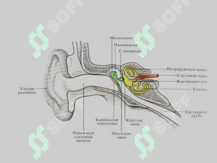sellerImage