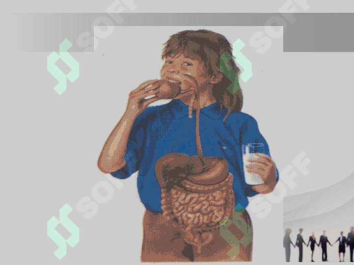 sellerImage