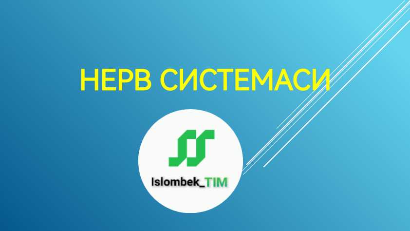 Нерв системаси