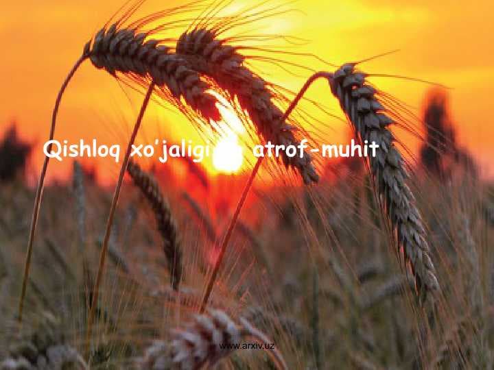 sellerImage