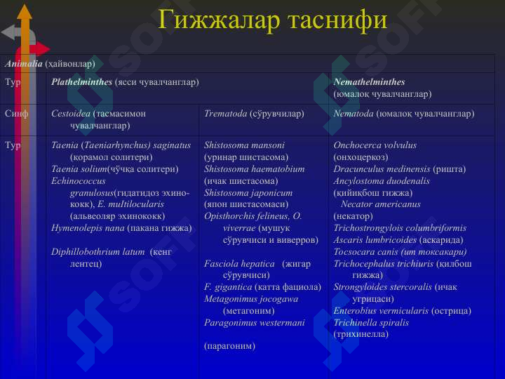 sellerImage