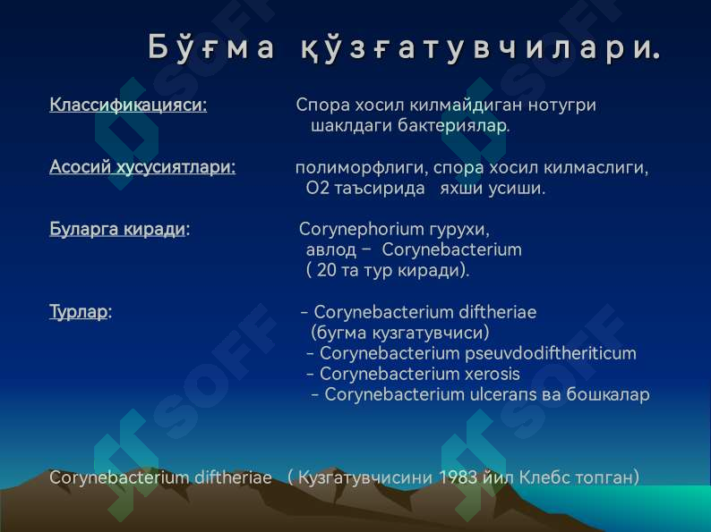 sellerImage