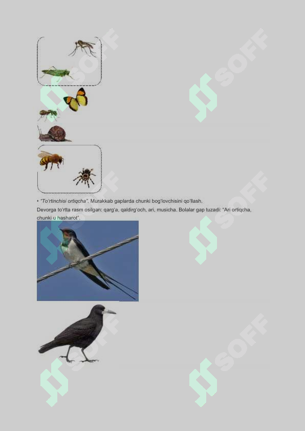 sellerImage