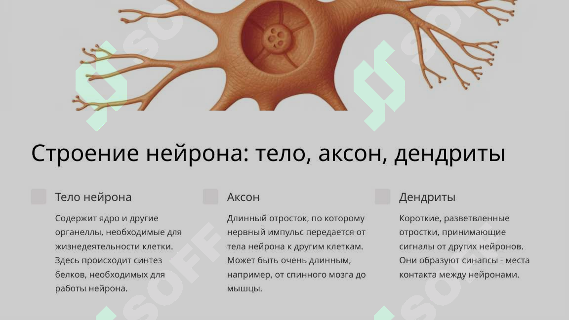 sellerImage