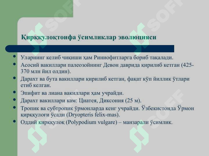 sellerImage
