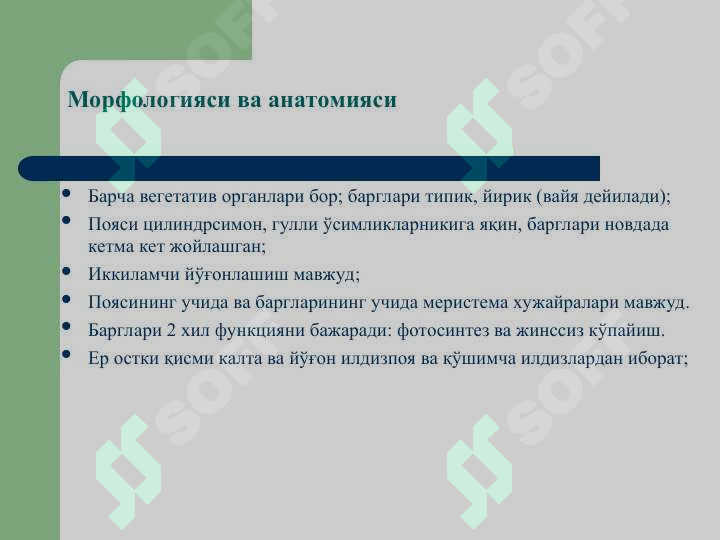sellerImage