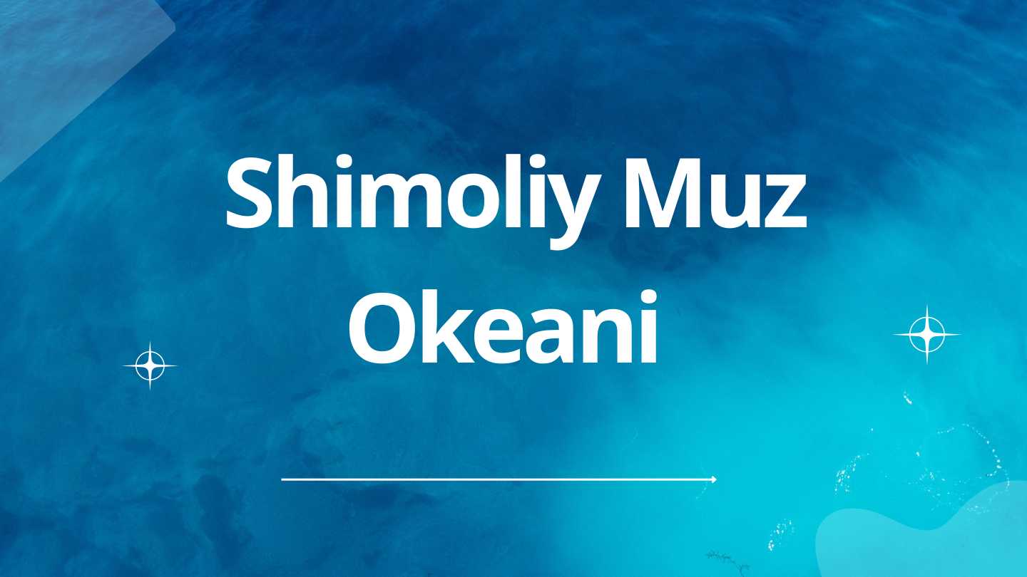 Shimoliy Muz Okeani