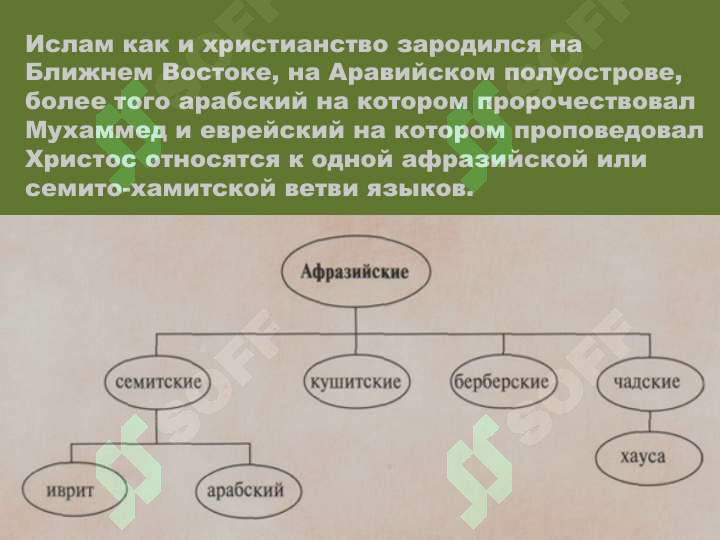 sellerImage