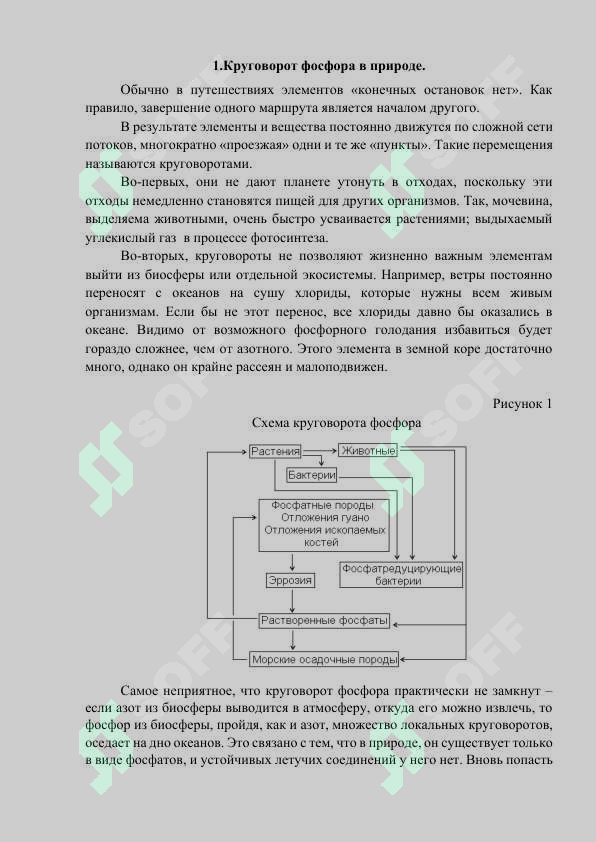 sellerImage