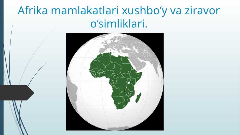 Afrika mamlakatlari xushbo‘y va ziravor o‘simliklari