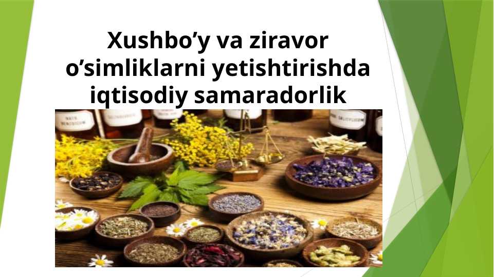 Xushbo’y va ziravor o’simliklarni yetishtirishda iqtisodiy samaradorlik