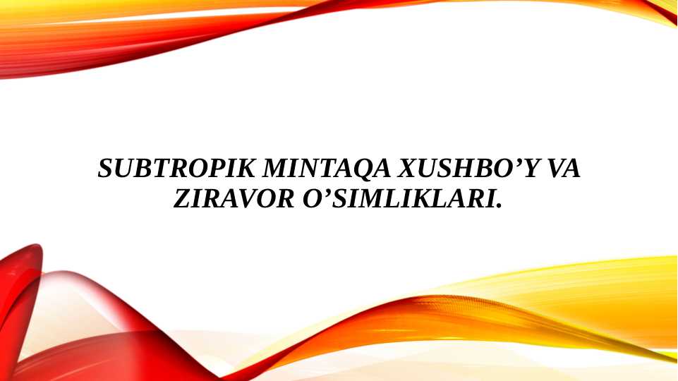 SUBTROPIK MINTAQA XUSHBO’Y VA ZIRAVOR O’SIMLIKLARI