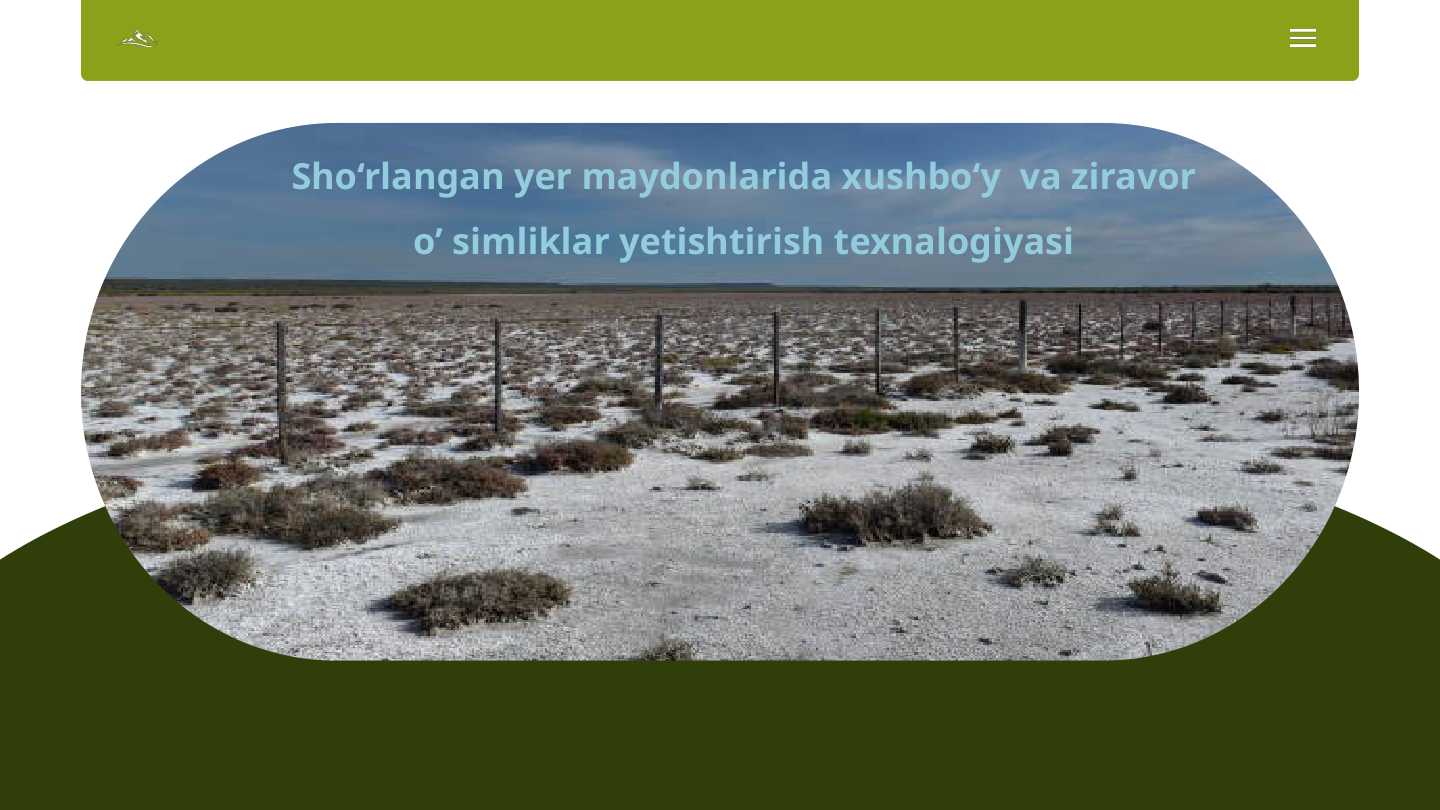 Sho‘rlangan yer maydonlarida xushbo‘y  va ziravor o’simliklar yetishtirish texnalogiyasi
