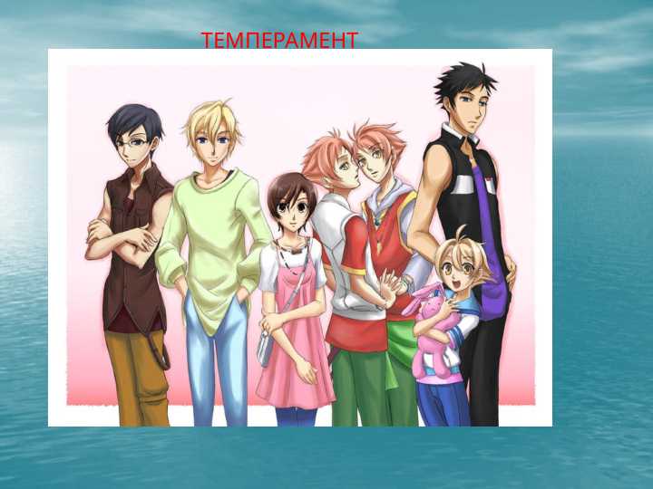 ТЕМПЕРАМЕНТ
