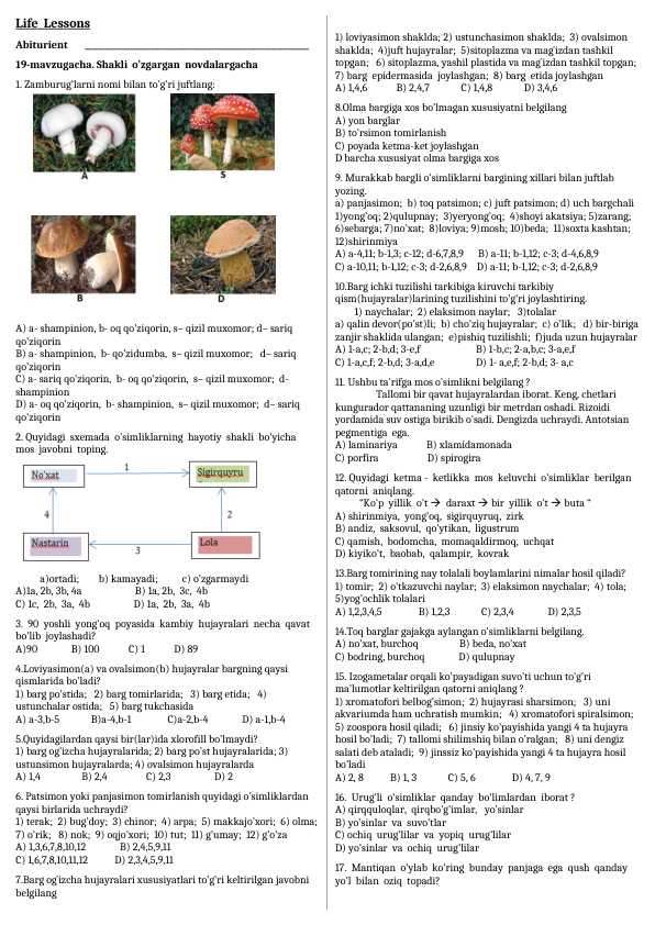 Life  Lessons. 6 sinf. 19 mavzu  shakli  o'zgargan novdalargacha