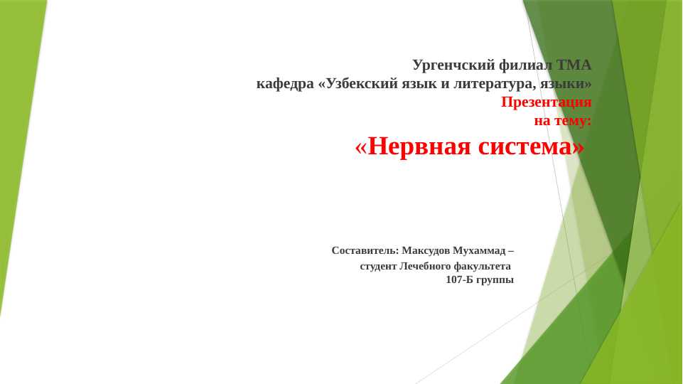 Нервная система