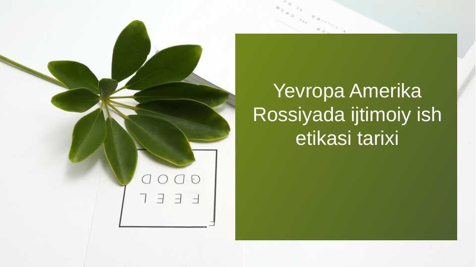 Yevropa Amerika Rossiyada ijtimoiy ish etikasi tarixi