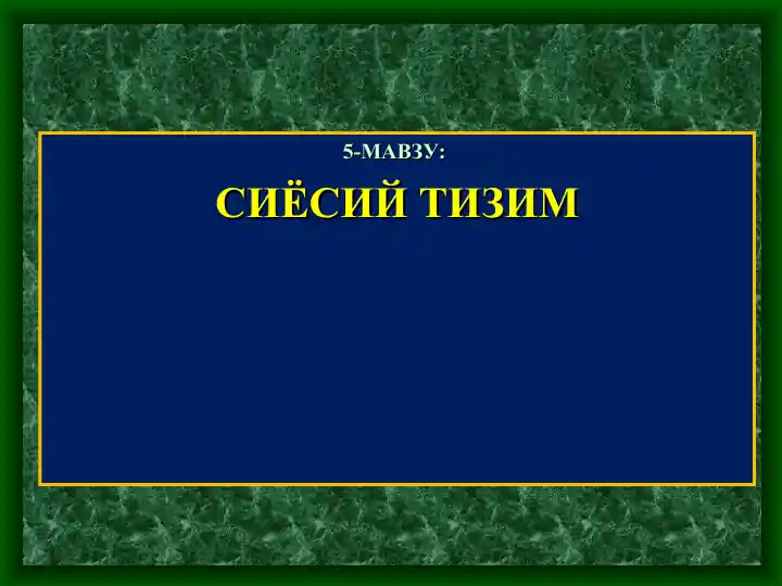 СИЁСИЙ ТИЗИМ