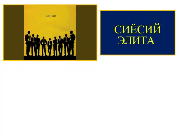Сиёсий элита