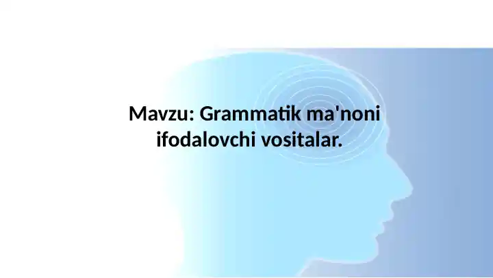 Grammatik ma'noni ifodalovchi vositalar